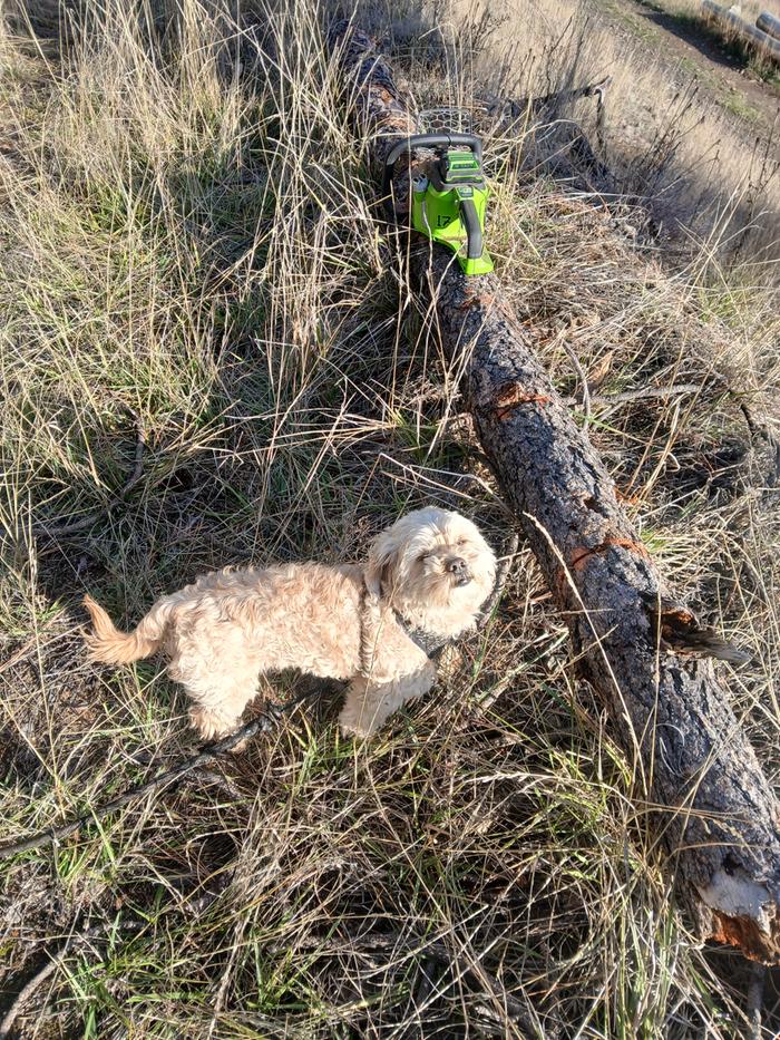 Lil Chapito happy to give a lending hand 
