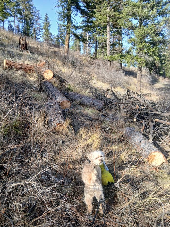 [Thumbnail for 20251108_123828.jpg]