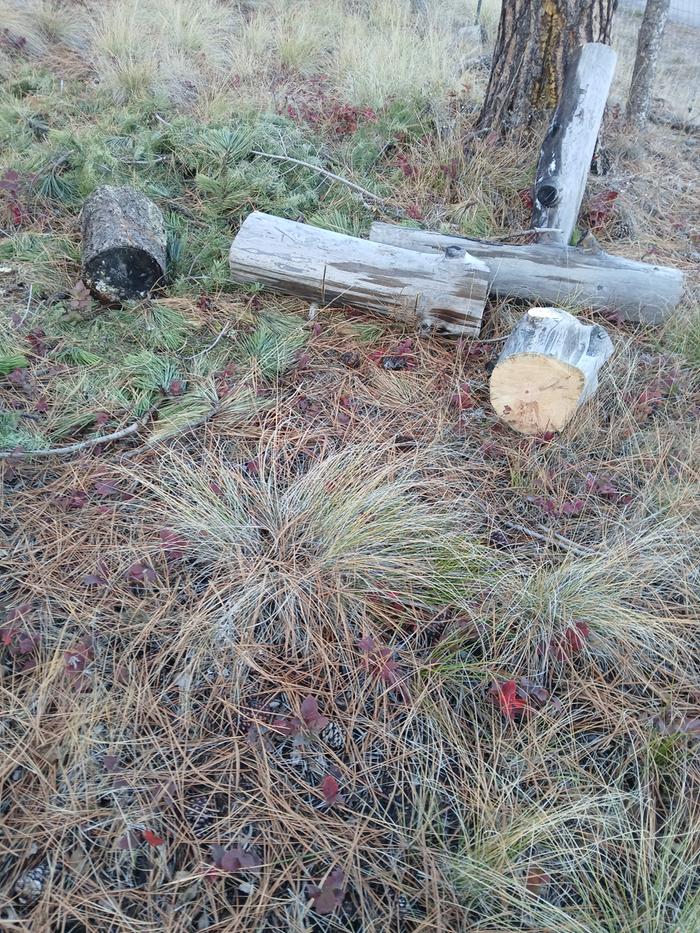 [Thumbnail for 20251108_150447.jpg]