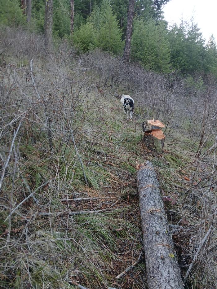 [Thumbnail for 20251108_161051.jpg]