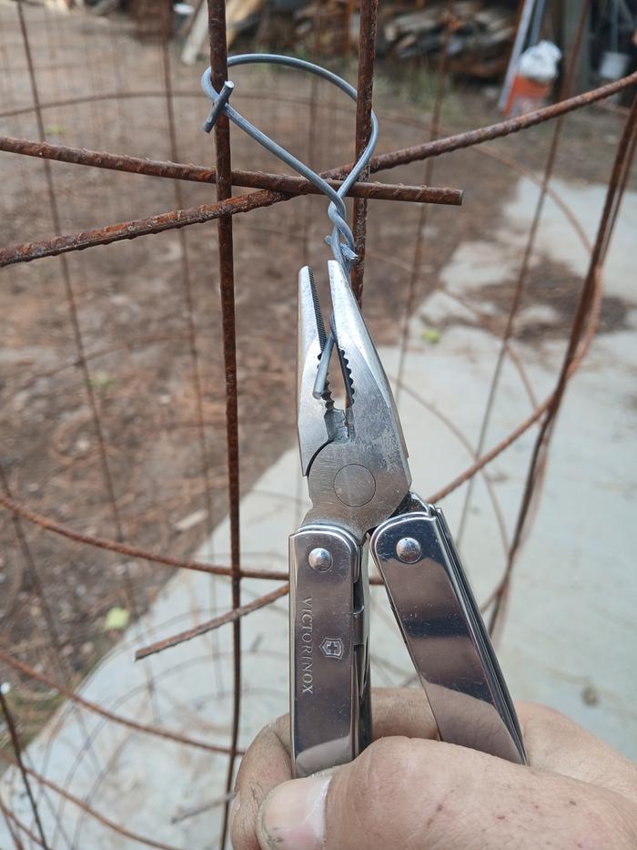 [Thumbnail for 20251109_123832.jpg]