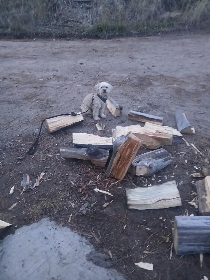 [Thumbnail for 20251109_172853.jpg]