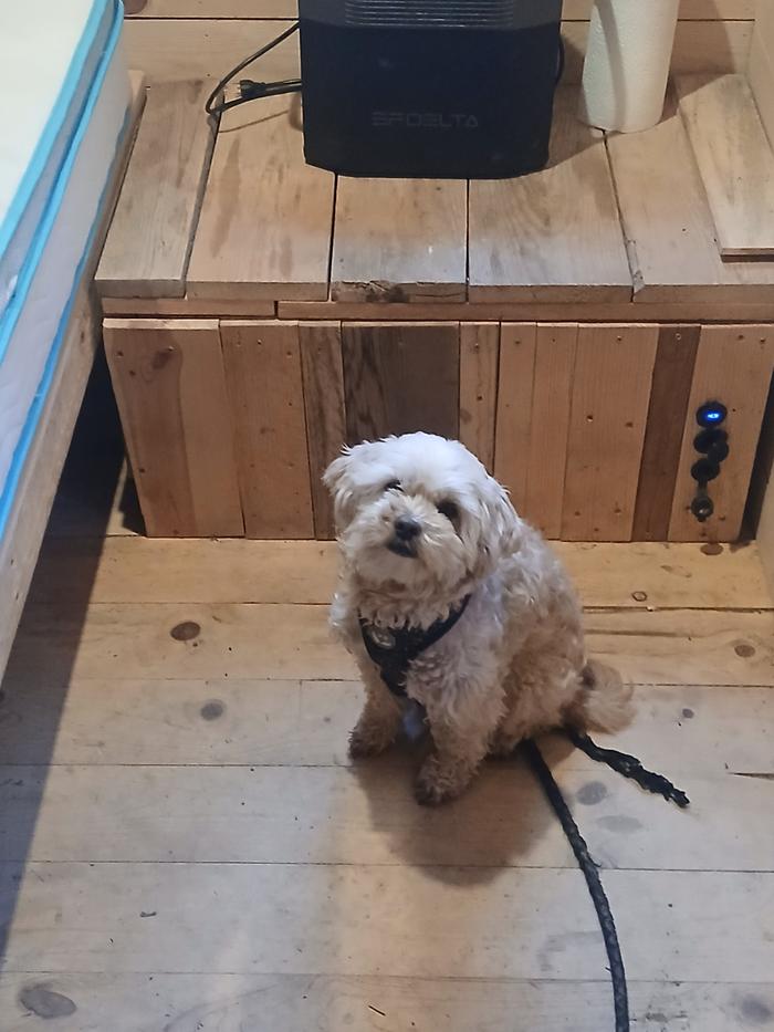 [Thumbnail for 20251113_082737.jpg]