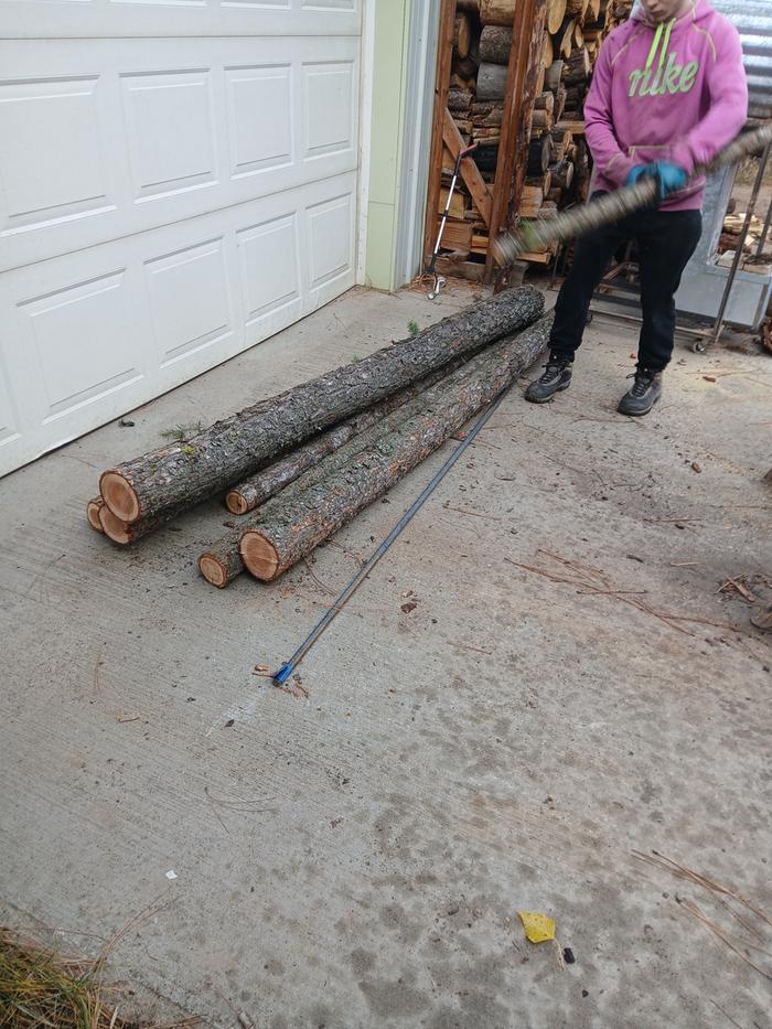 [Thumbnail for 20251113_105035.jpg]