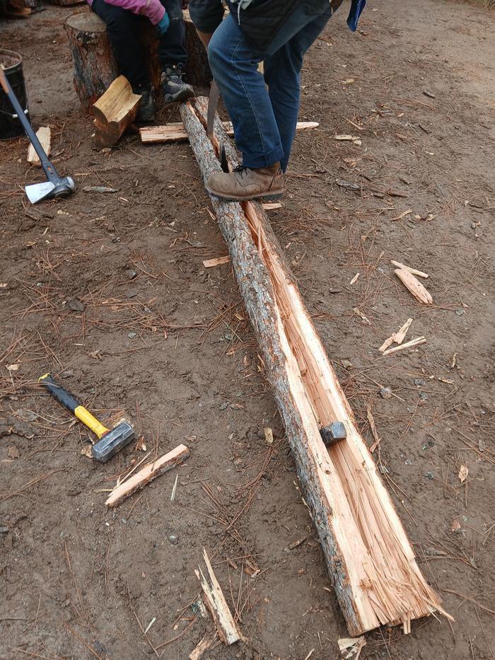 [Thumbnail for 20251113_114834.jpg]