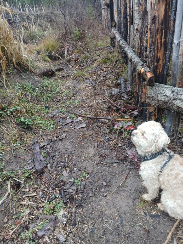 Perimeter check at the Abbey 