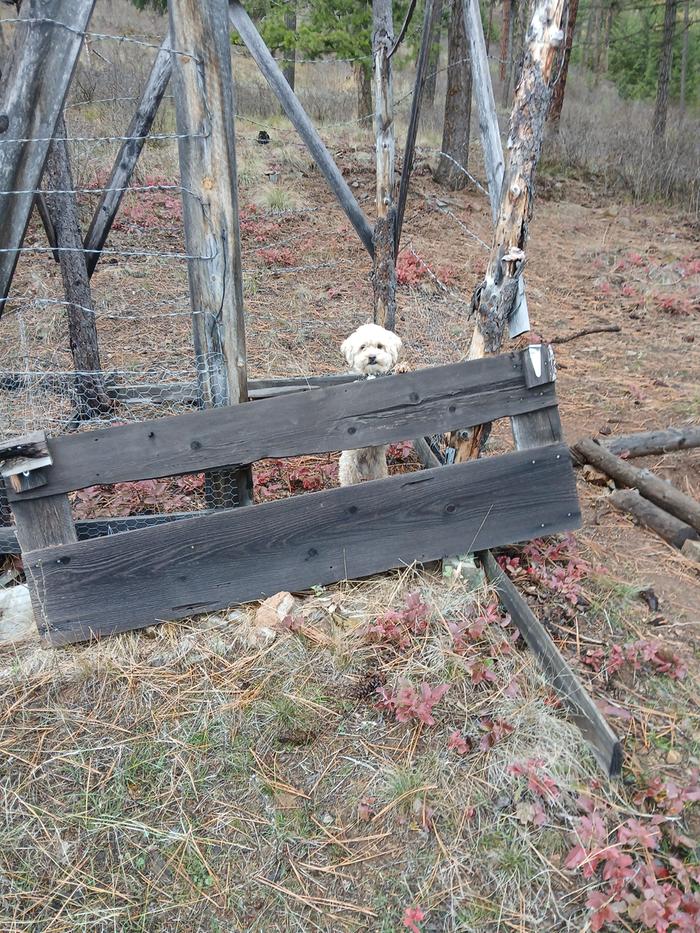 [Thumbnail for 20251114_151935.jpg]