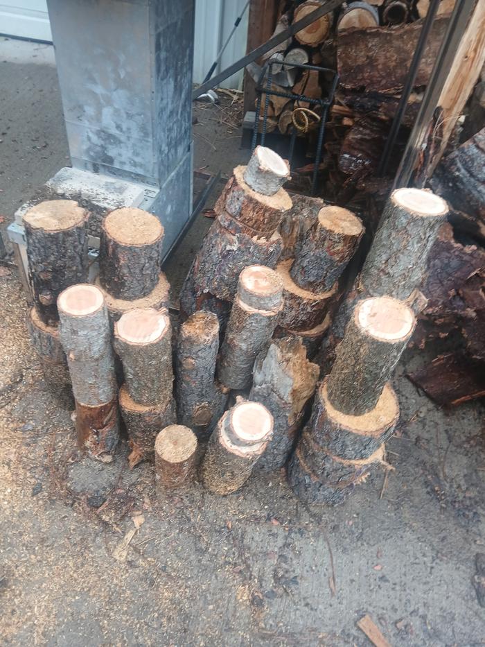 [Thumbnail for 20251115_094933.jpg]