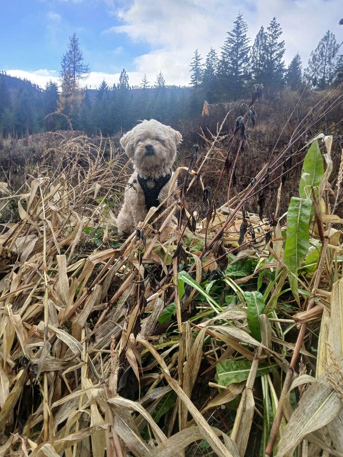 [Thumbnail for 20251115_111718.jpg]