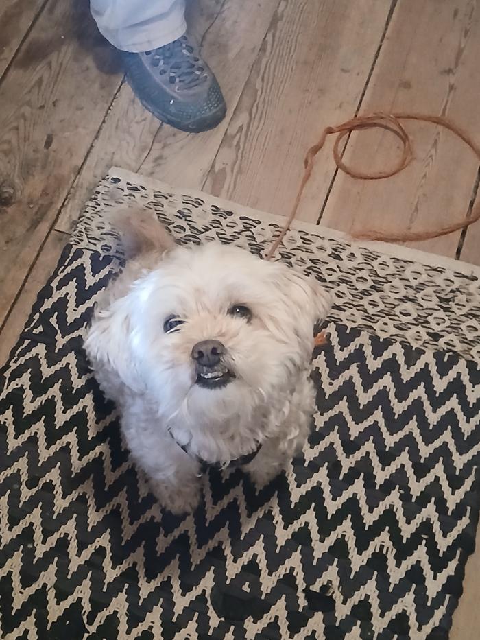 [Thumbnail for 20251119_103142.jpg]