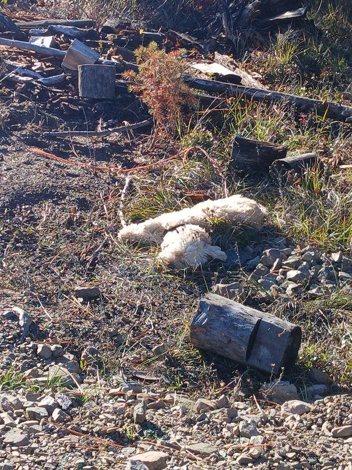 [Thumbnail for 20251119_134251.jpg]