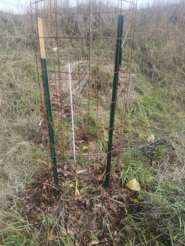 [Thumbnail for 20251120_134535.jpg]