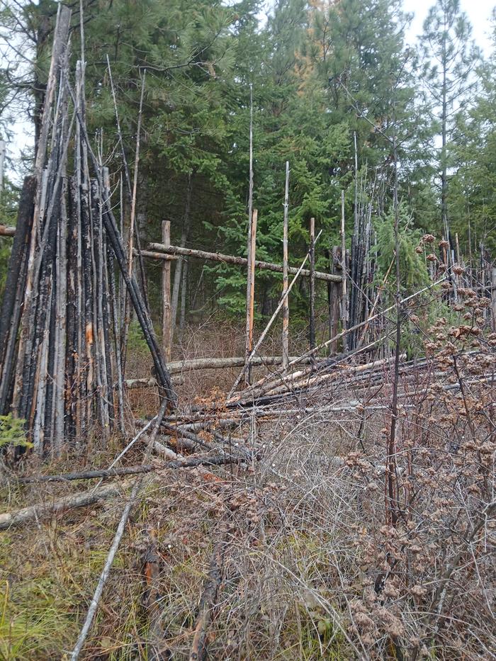 The fun filled surprise we found .... 