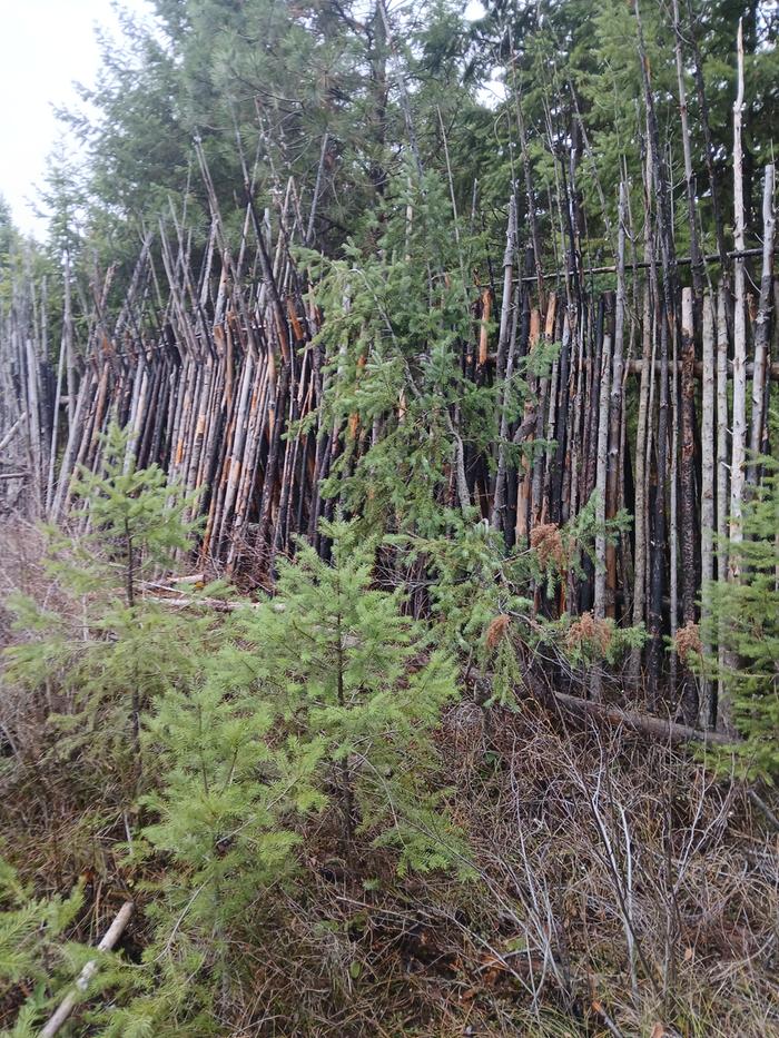 [Thumbnail for 20251121_102925.jpg]