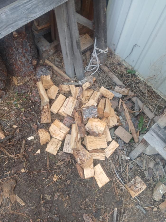 Small split pieces of firewood on the ground