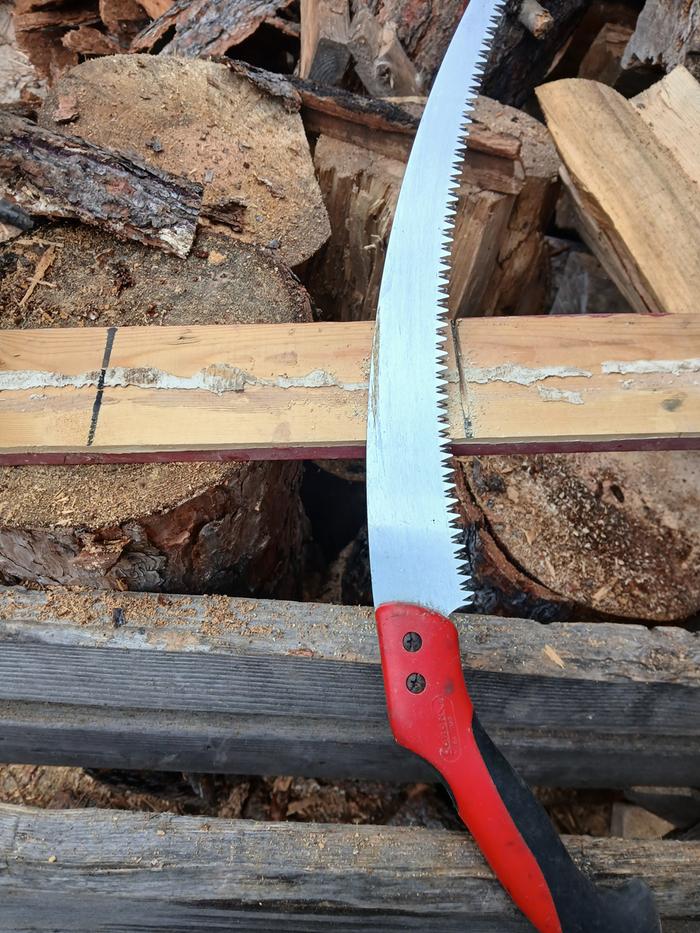 [Thumbnail for 20251123_124036.jpg]