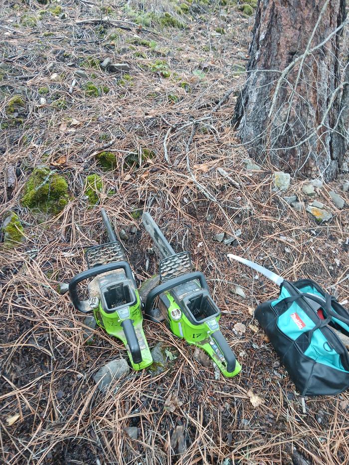 Two greenworks chainsaws with the batteries out and a makita drill bag on rocky ground with long pine needles
