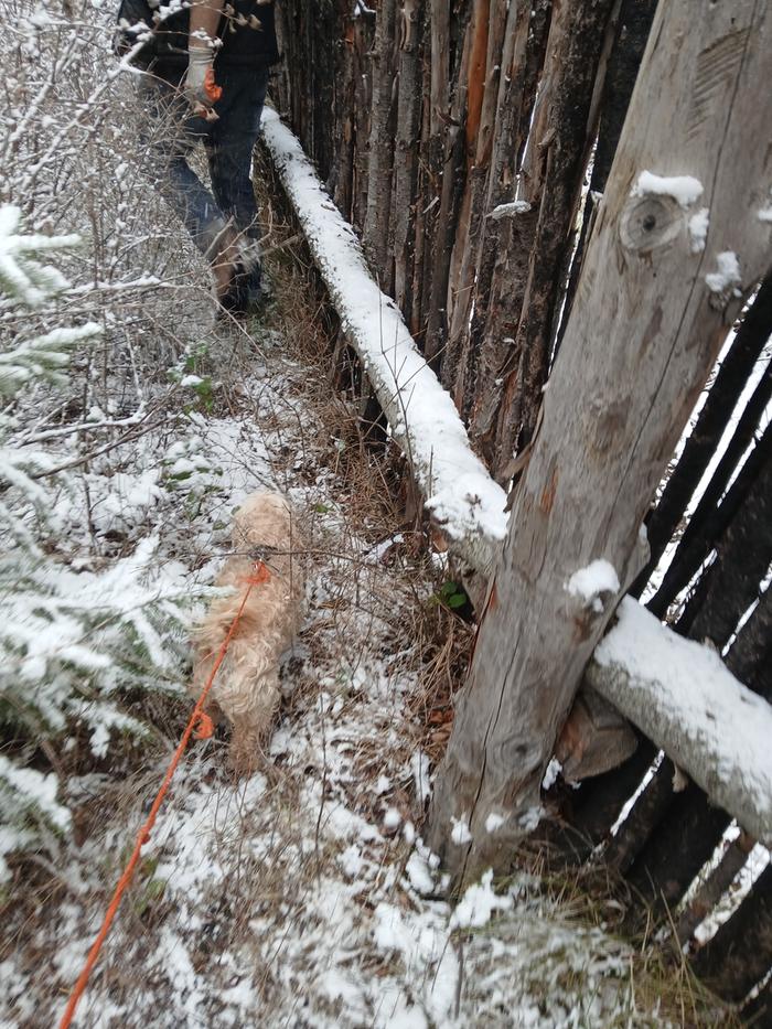 Exterior junk pole perimeter check at the Abbey 