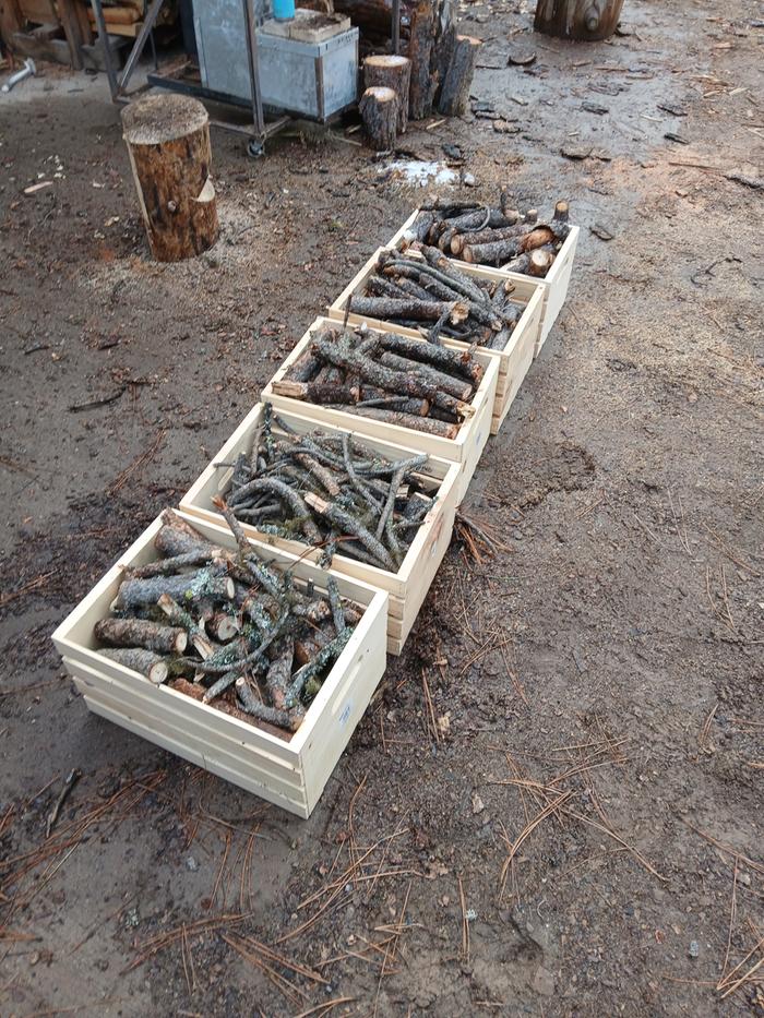 [Thumbnail for 20251126_150741.jpg]