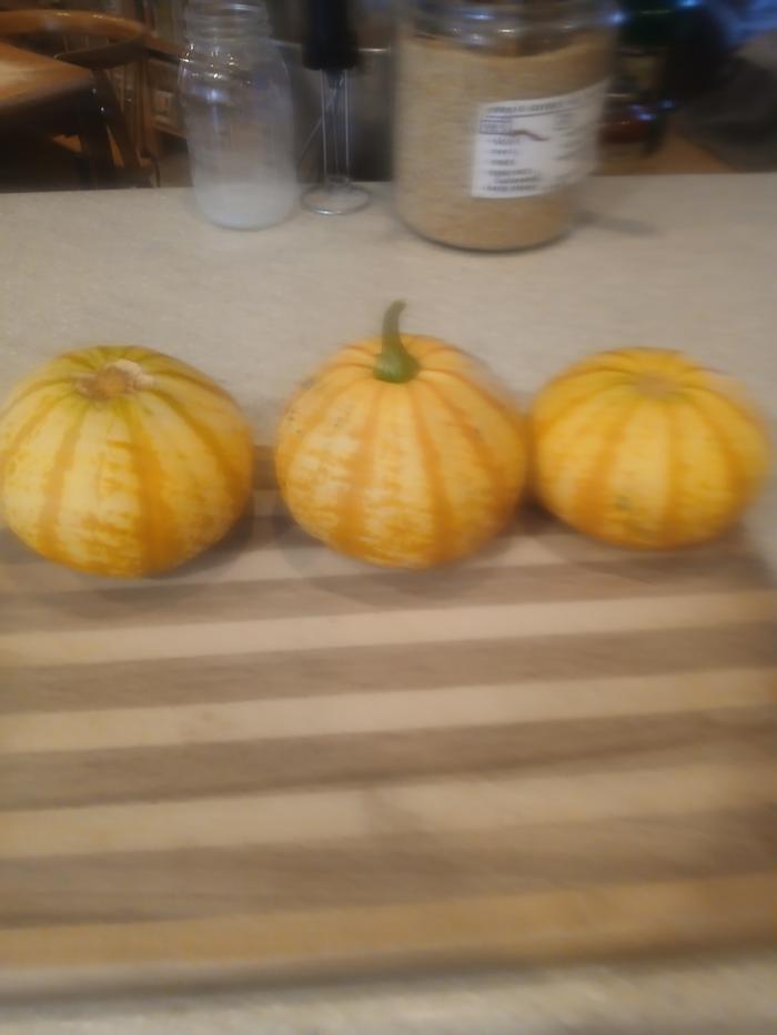 [Thumbnail for 20251127_130054.jpg]