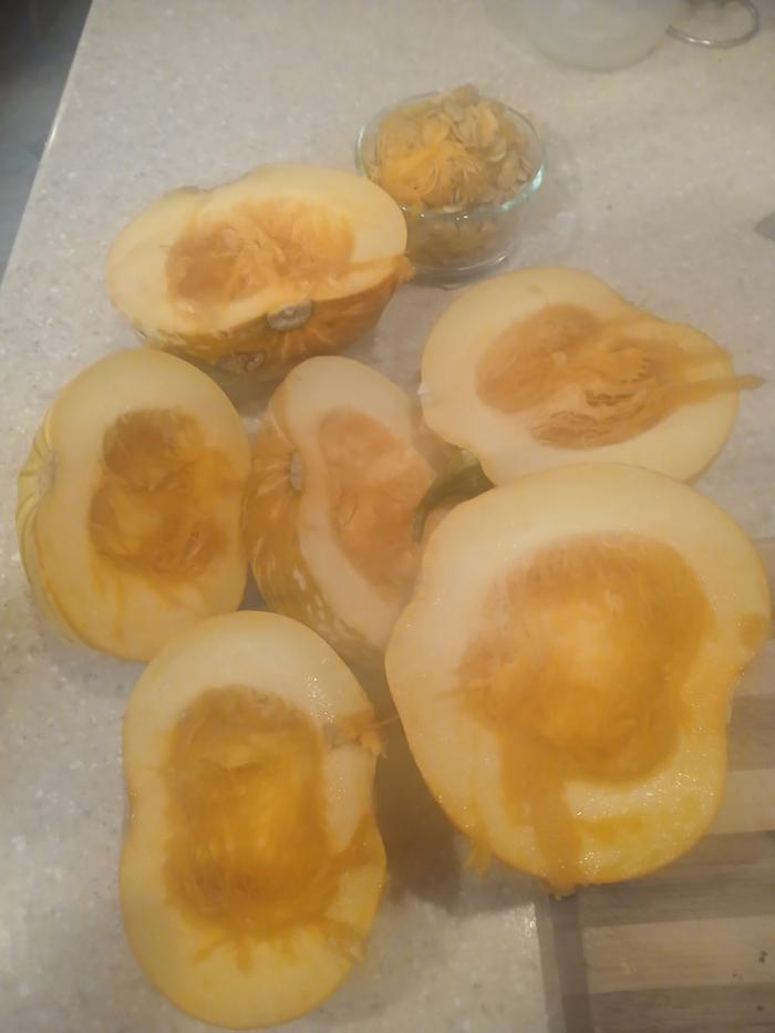 [Thumbnail for 20251127_131452.jpg]