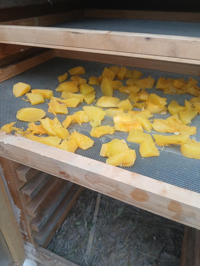 [Thumbnail for 20251127_141415.jpg]