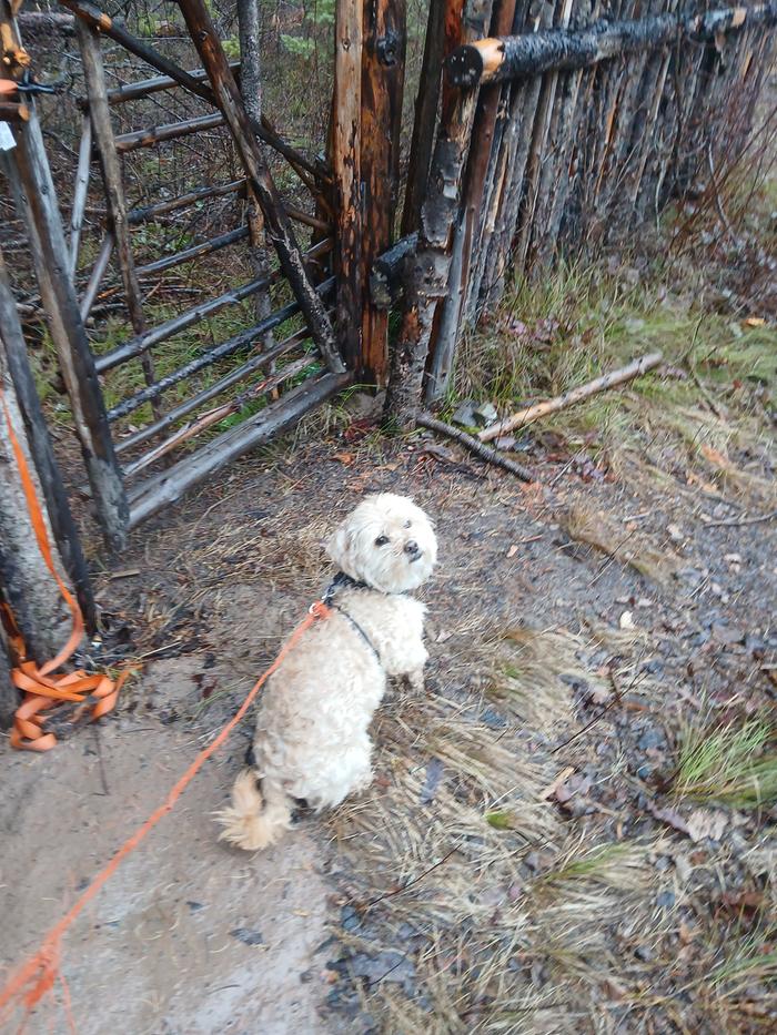 Abbey perimeter check