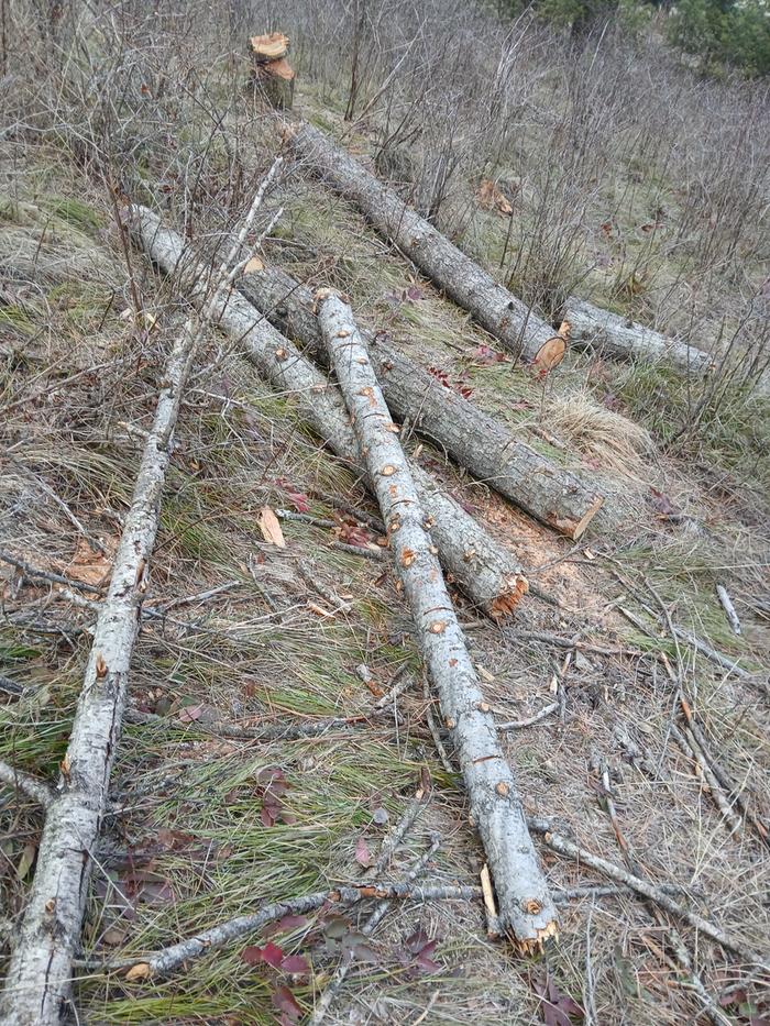 [Thumbnail for 20251129_123532.jpg]