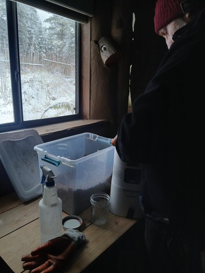 Working on the auto cat feeders 