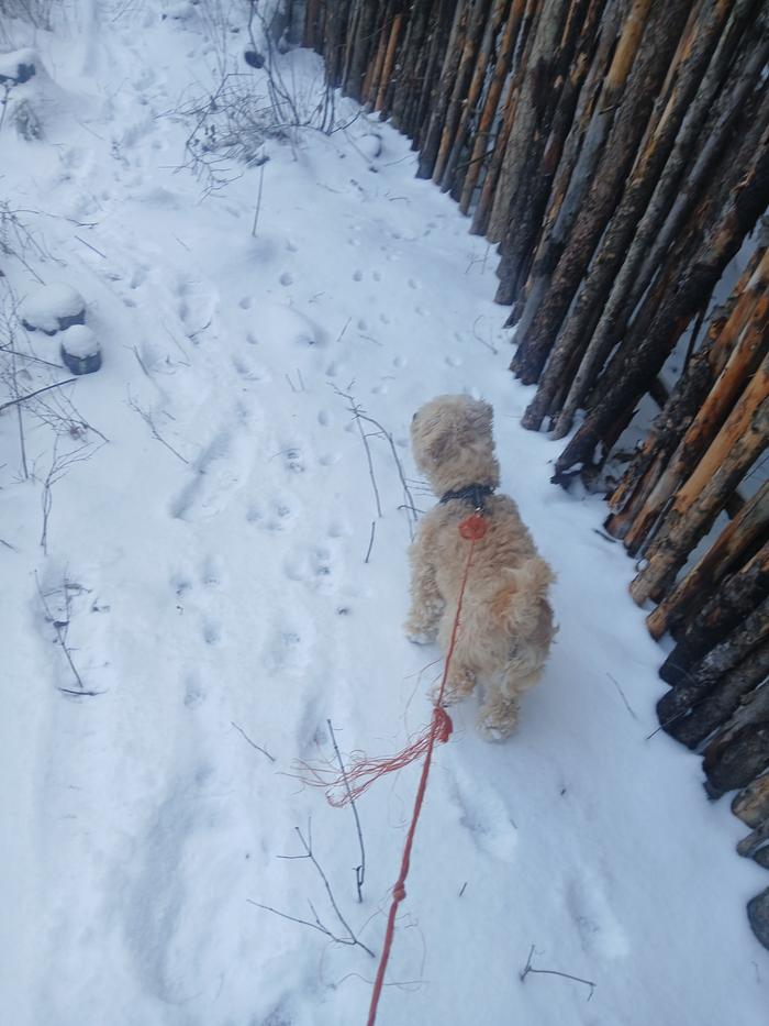 Abbey Perimeter Check