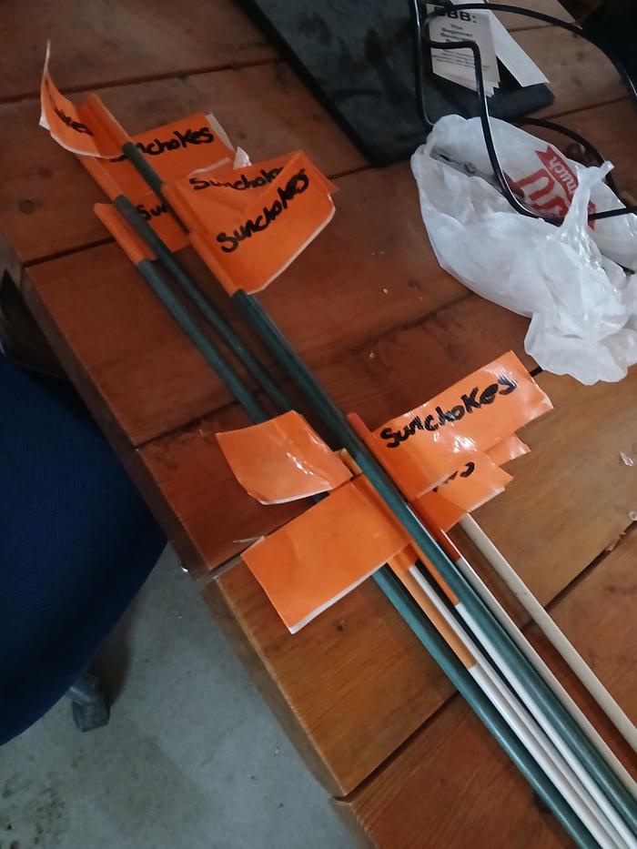 [Thumbnail for 20251203_113735.jpg]