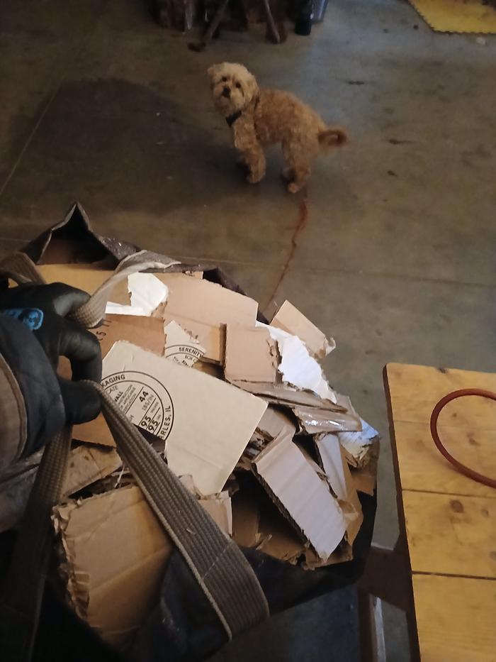 [Thumbnail for 20251204_092927.jpg]