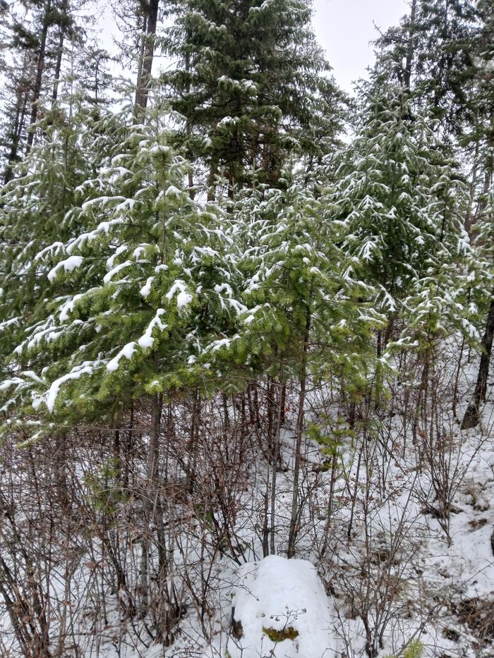 [Thumbnail for 20251204_150606.jpg]