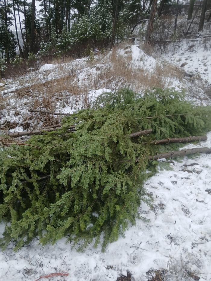 [Thumbnail for 20251204_161230.jpg]