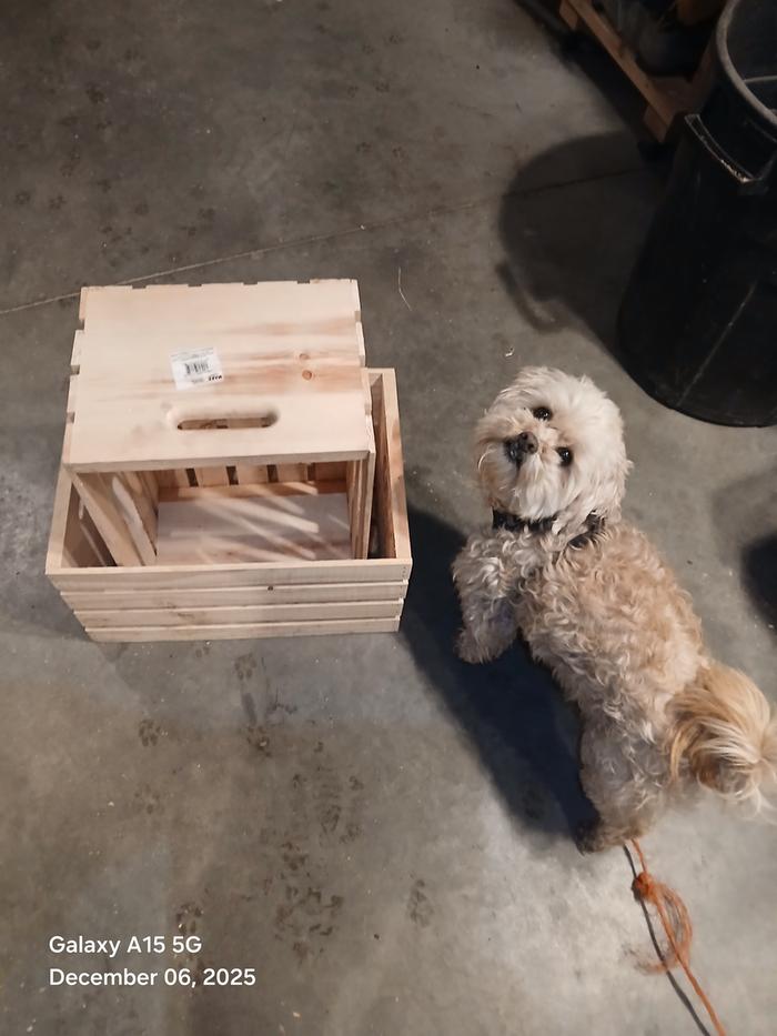 [Thumbnail for 20251206_182533.jpg]