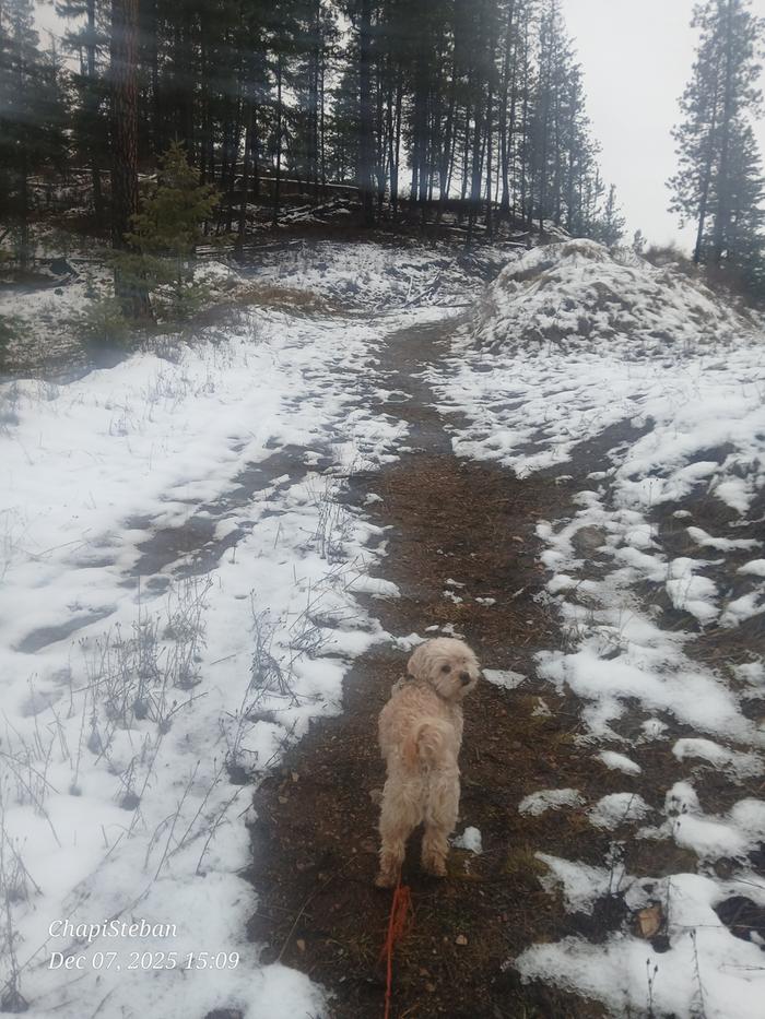 [Thumbnail for 20251207_150933.jpg]