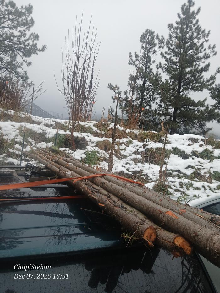 [Thumbnail for 20251207_155140.jpg]