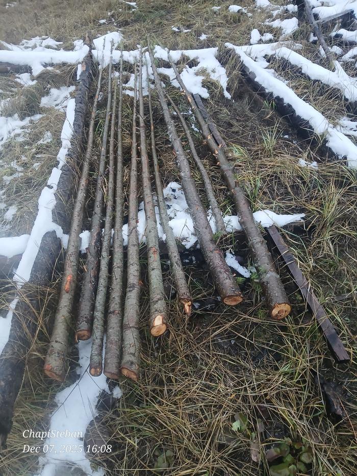 [Thumbnail for 20251207_160829.jpg]