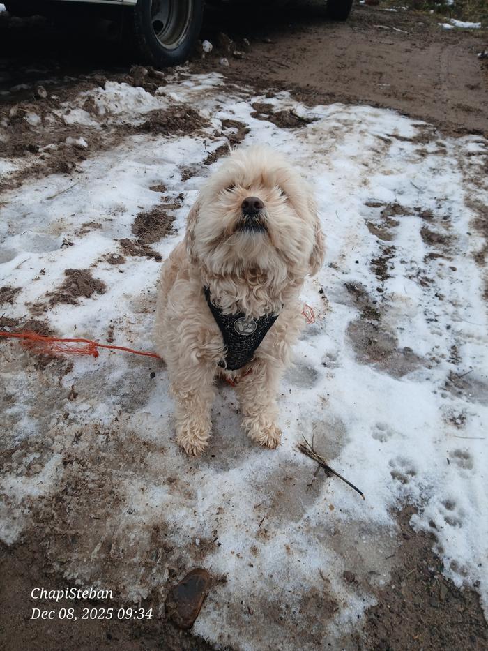 [Thumbnail for 20251208_093404.jpg]