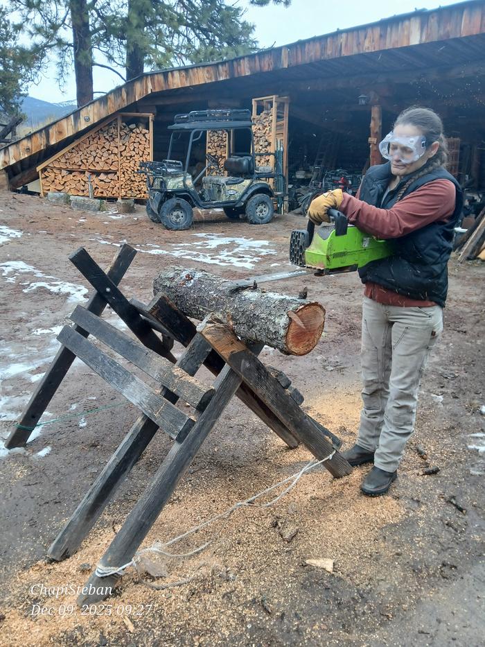 Molly practices using a chainsaw to delimb a log
