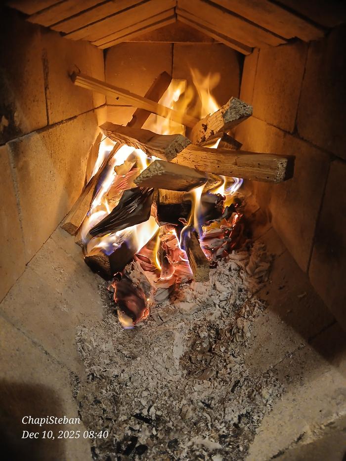 [Thumbnail for 20251210_084020.jpg]