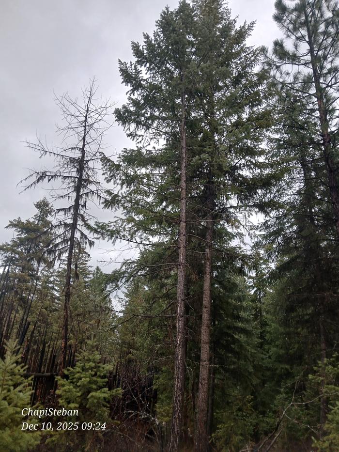 [Thumbnail for 20251210_092451.jpg]