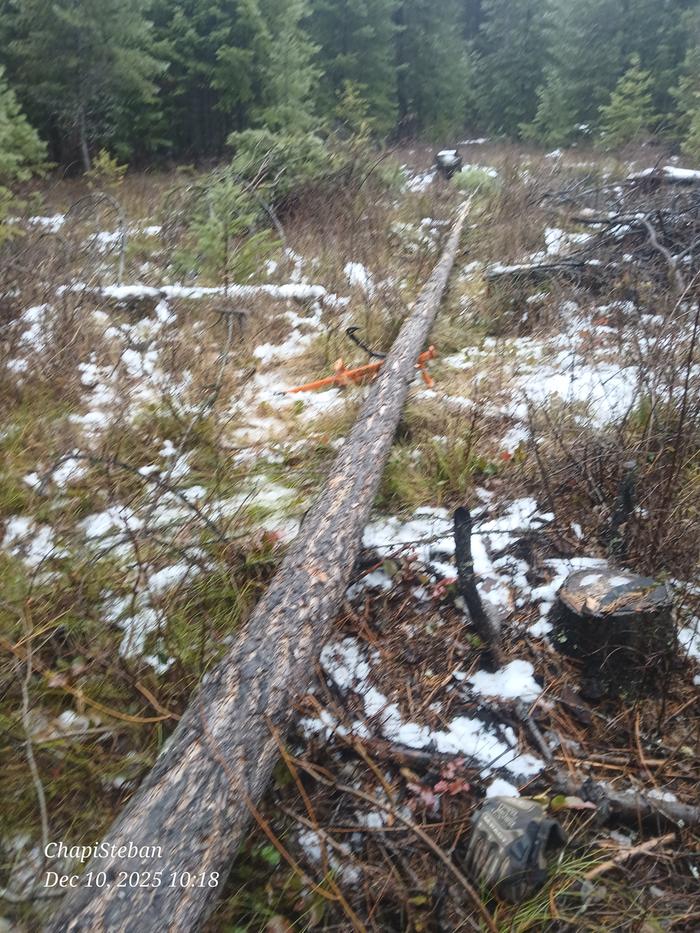 [Thumbnail for 20251210_101809.jpg]