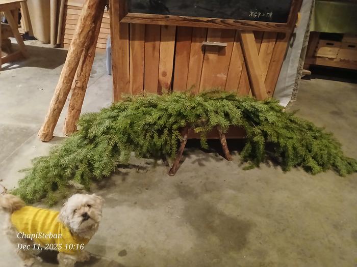 [Thumbnail for 20251211_101656.jpg]