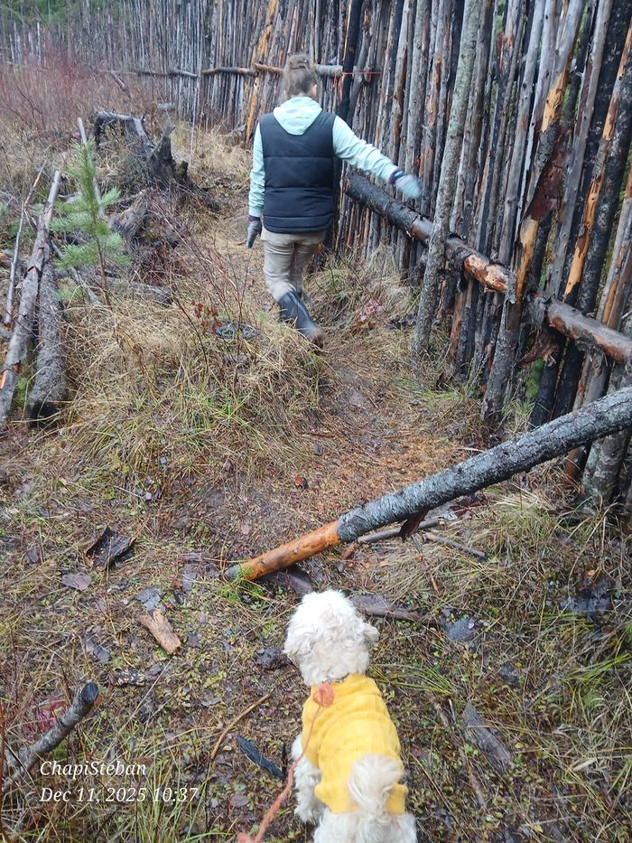 Perimeter check at the Abbey 