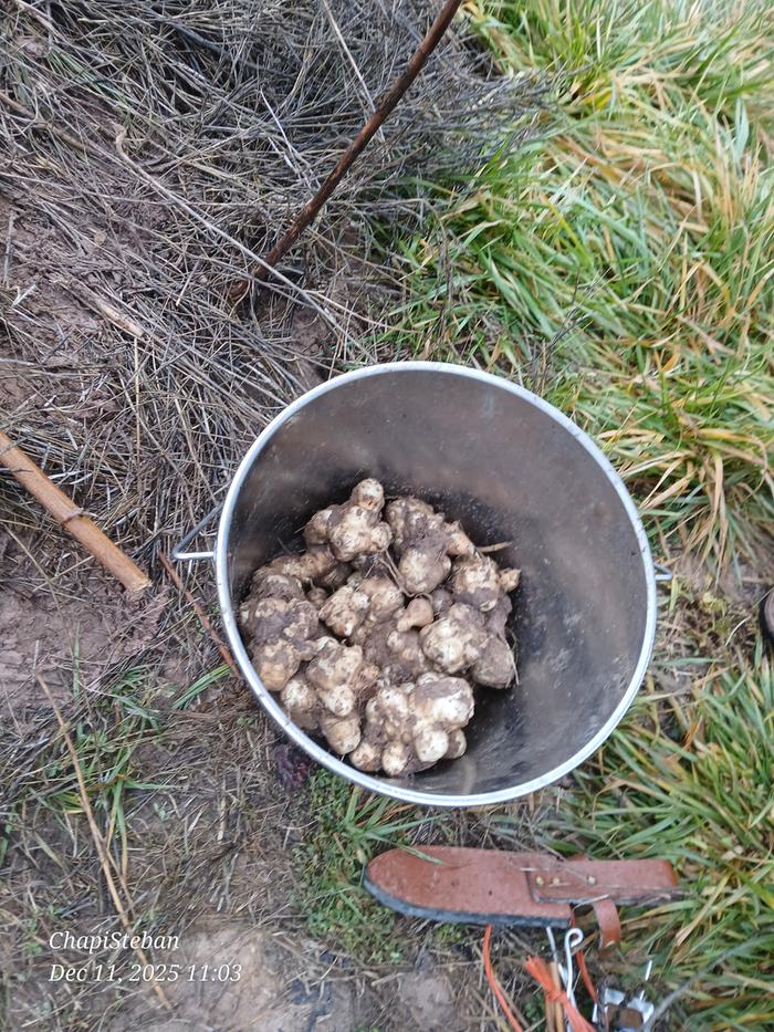 [Thumbnail for 20251211_110303.jpg]