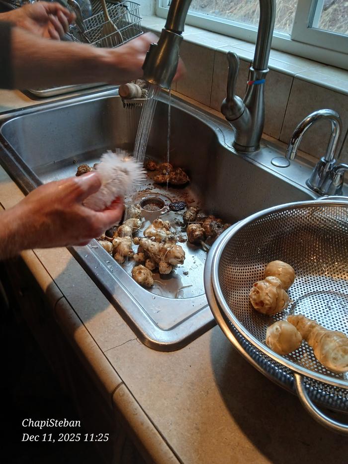 [Thumbnail for 20251211_112524.jpg]