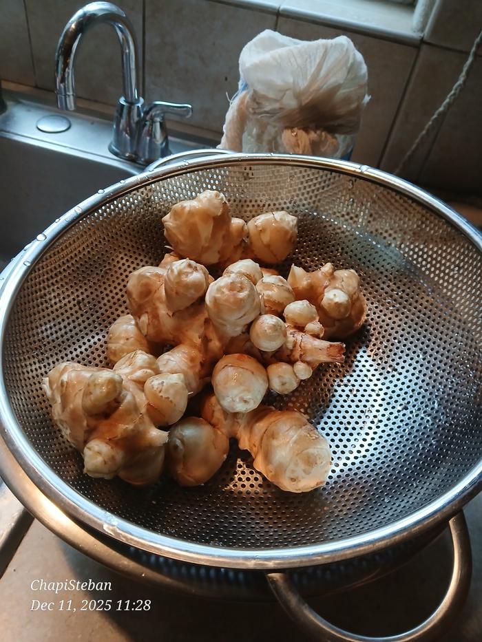 [Thumbnail for 20251211_112809.jpg]