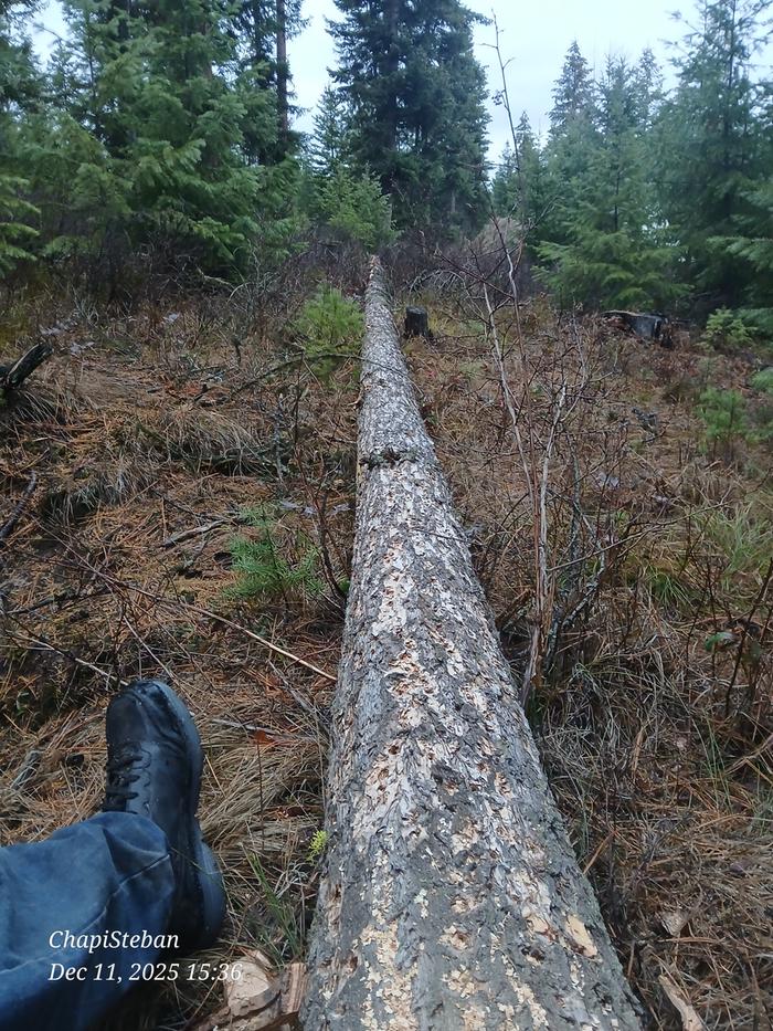 [Thumbnail for 20251211_153600.jpg]