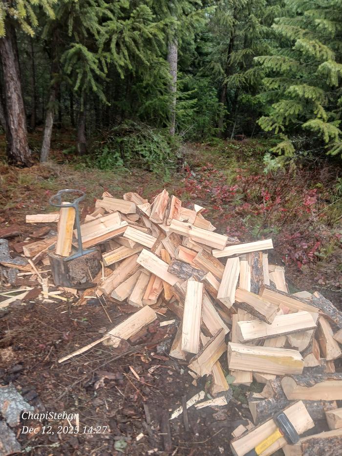 [Thumbnail for 20251212_142744.jpg]